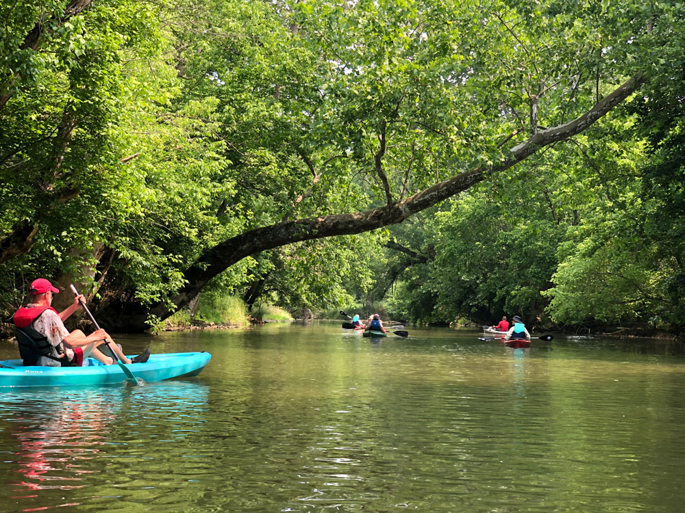 On June 17, TOW hosted three events on Opequon Creek: a float trip, a picnic, and a water quality monitoring demonstration. All were based at Fiddler’s Bottom, the home of Deb and Steve Bauserman, located east of Ridgeway, West Virginia.